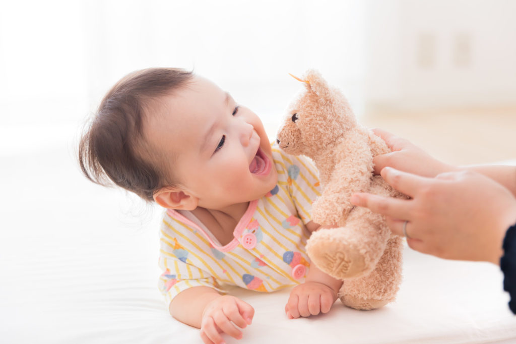 ぬいぐるみ,クリーニング,宅配,おすすめ,安い